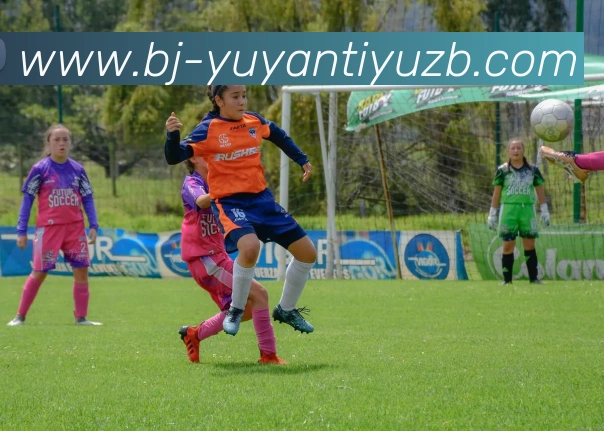 雨燕体育直播平台生态图