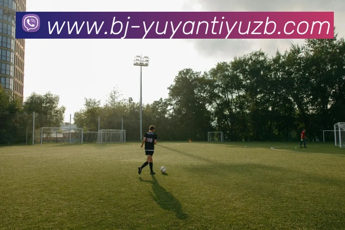 多媒体互动体验