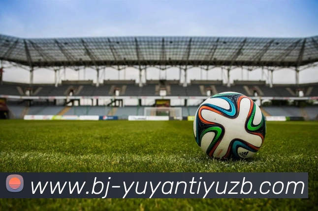 雨燕体育直播APP 高清赛事图