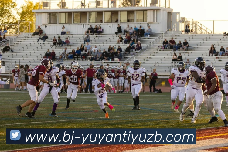 雨燕体育直播全站App